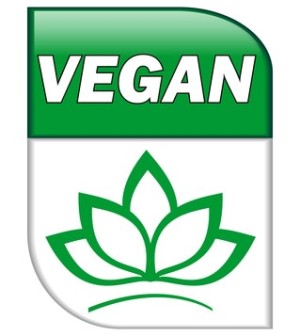 Vegan abnehmen