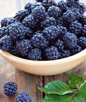 Brombeeren