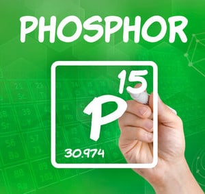 Phosphor Mengenelement