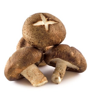Shiitake Pilze