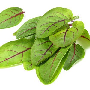 Sauerampfer