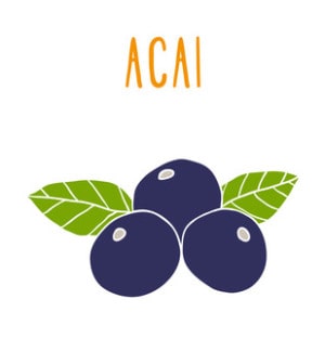 Acai Beeren