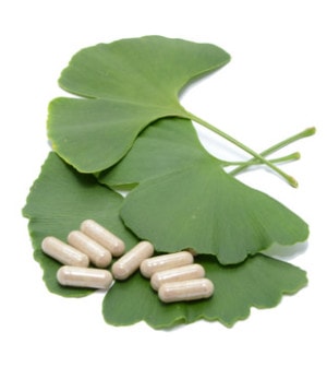 Ginkgo