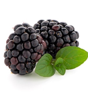 Brombeeren