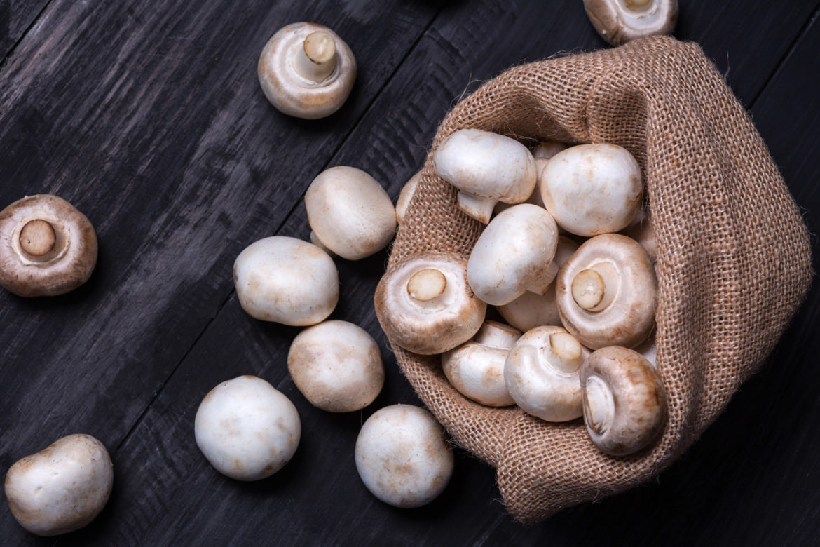 Champignons Kalorien