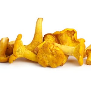 Pfifferlinge