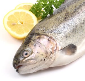 Fisch gesund