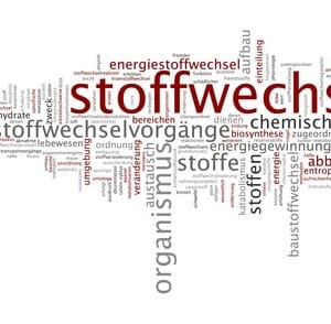 Stoffwechsel anregen