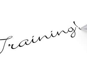 Nordic Walking: Trainingsplan