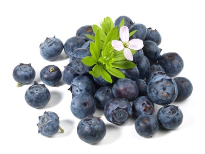 Heidelbeeren