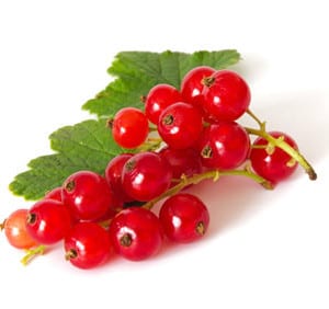 Johannisbeeren