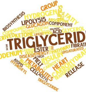 Triglyceride