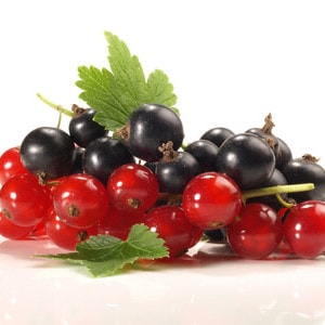 Johannisbeeren