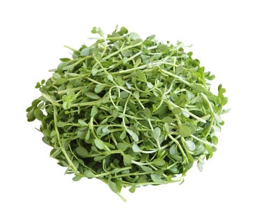 Brahmi