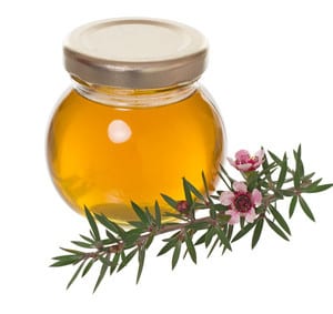 Manuka Honig