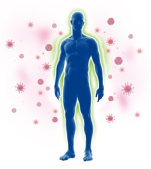 Immunsystem