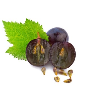 Traubenkerne