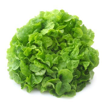 Eichblattsalat
