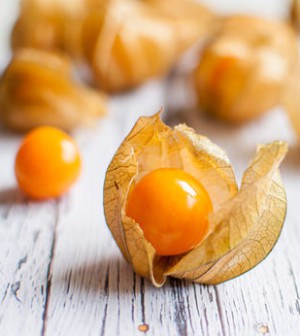Physalis