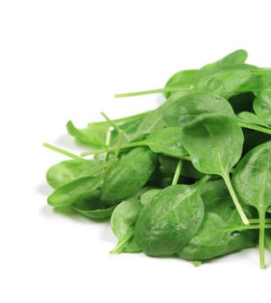 Feldsalat
