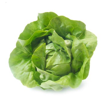 Kopfsalat