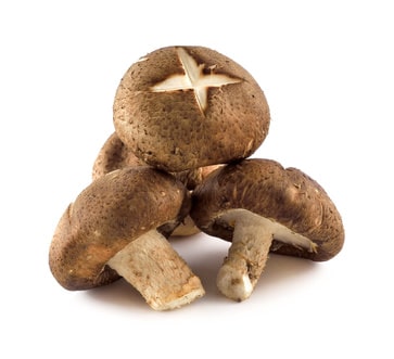 Shiitake Pilze