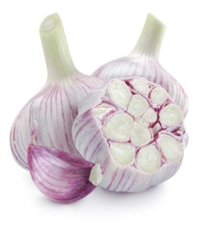Knoblauch
