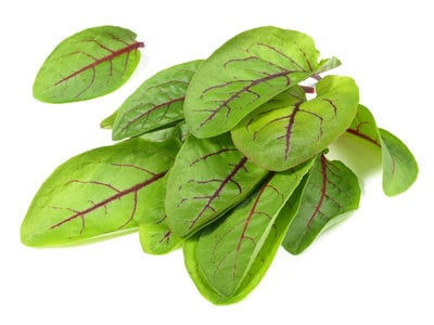 Sauerampfer