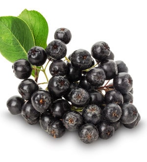 Aroniabeeren