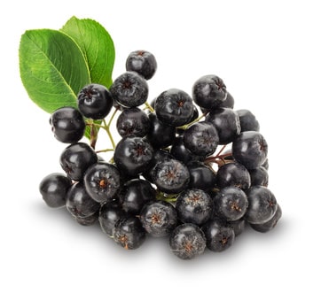Aroniabeeren