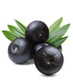 Acai Beeren