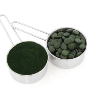 Chlorella