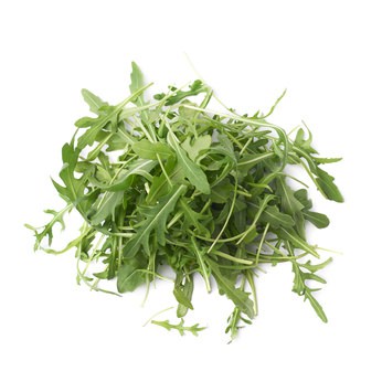 Rucola