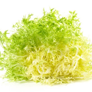 Friséesalat