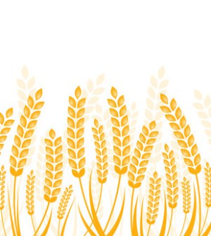 Gluten