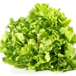 Endiviensalat