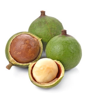 Macadamianüsse