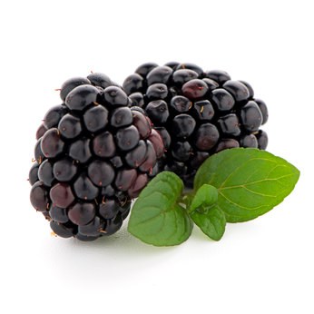 Brombeeren