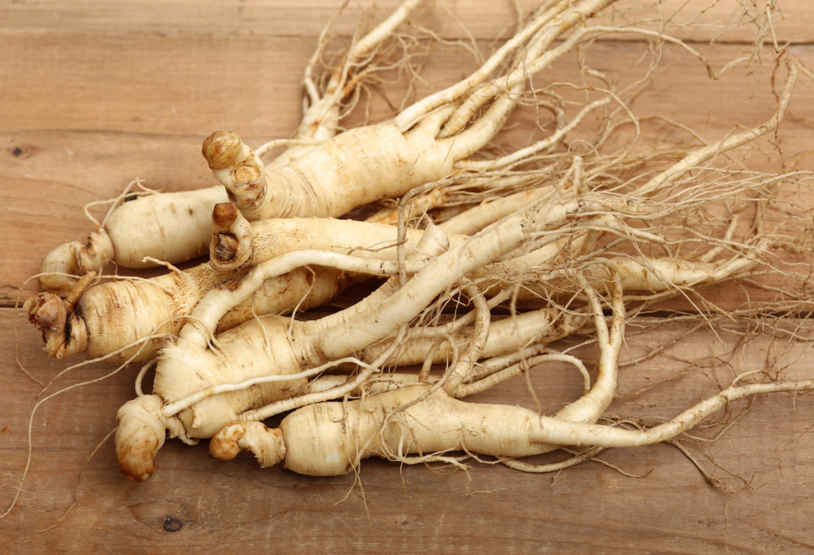 Ginseng