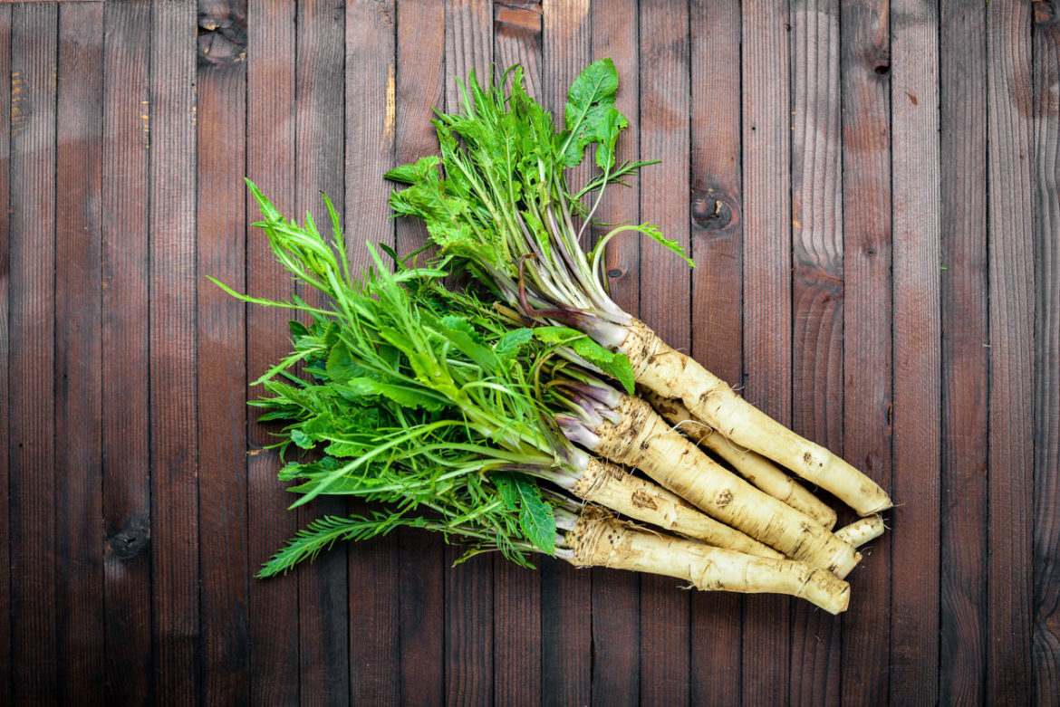 Superfood Meerrettich Bauch.de
