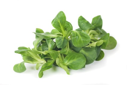 Feldsalat