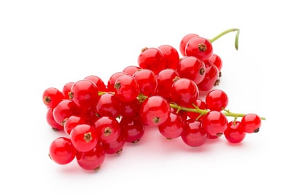 Johannisbeeren