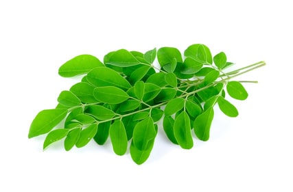 Moringa
