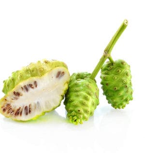Noni-Frucht