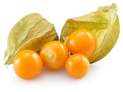 Physalis