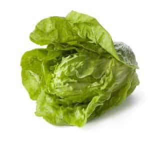 Zuckerhut/Fleischkraut