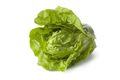 Zuckerhut/Fleischkraut