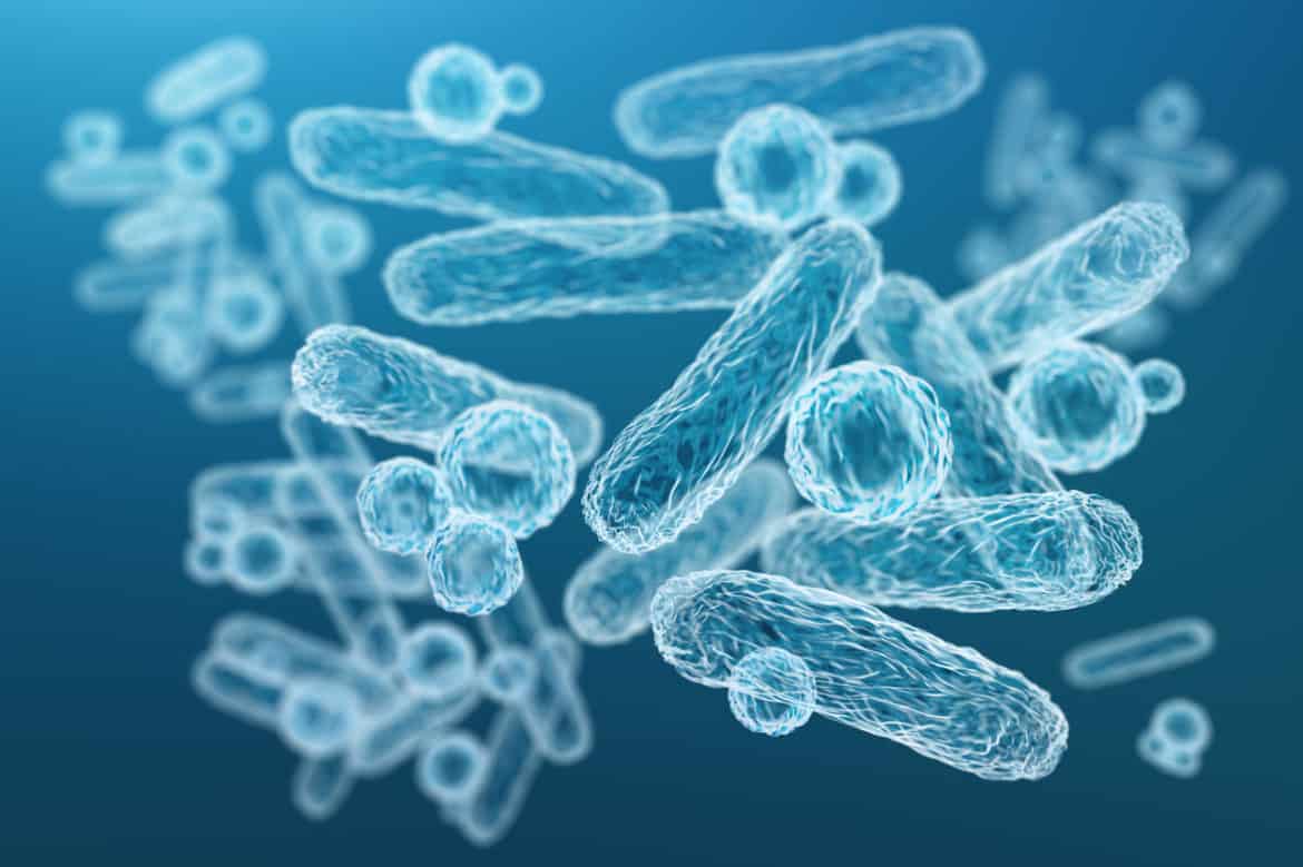 Was sind Präbiotika? - Bauch.de